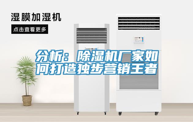 分析：91看片软件大全廠家如何打造獨步營銷王者