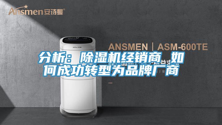 分析：91看片软件大全經銷商 如何成功轉型為品牌廠商