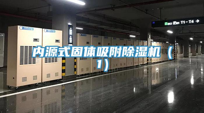 內源式固體吸附91看片软件大全（1）