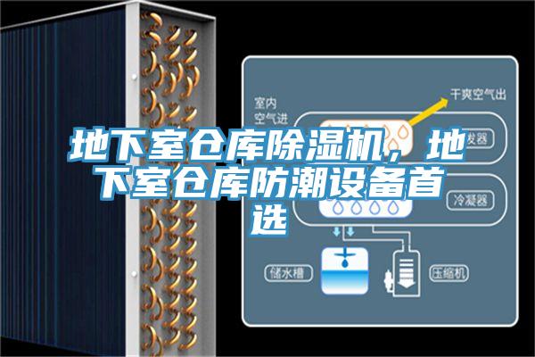 地下室倉庫91看片软件大全，地下室倉庫防潮設備首選