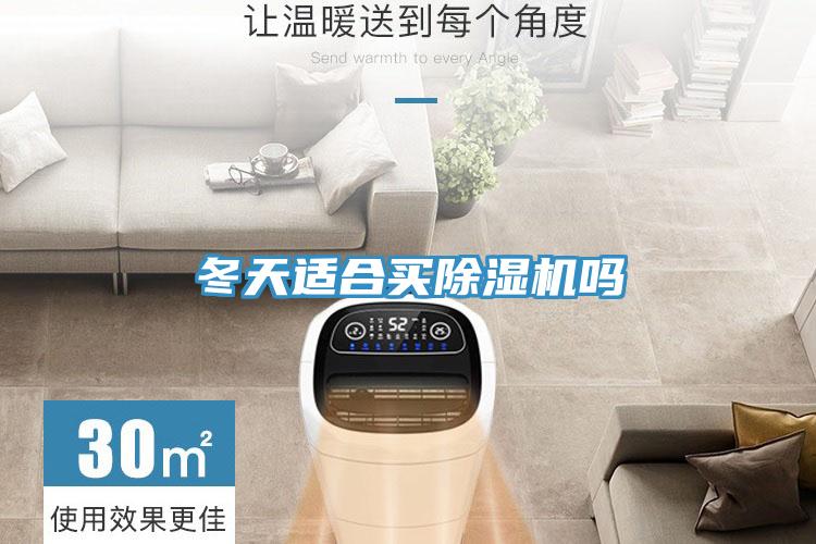 冬天適合買91看片软件大全嗎