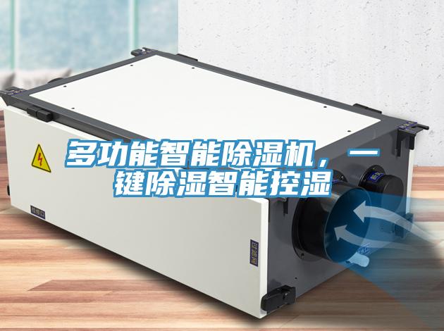 多功能智能91看片软件大全，一鍵除濕智能控濕