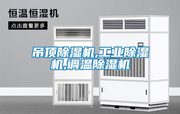 吊頂91看片软件大全,工業91看片软件大全,調溫91看片软件大全