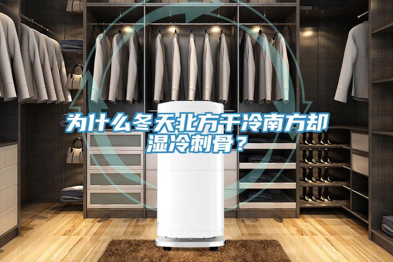 為什麽冬天北方幹冷南方卻濕冷刺骨？