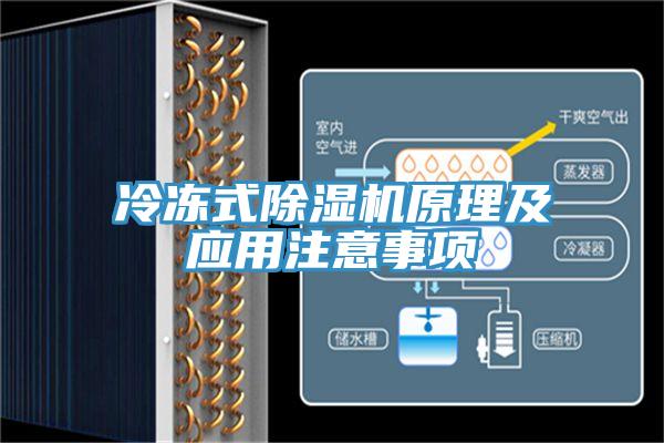 冷凍式91看片软件大全原理及應用注意事項