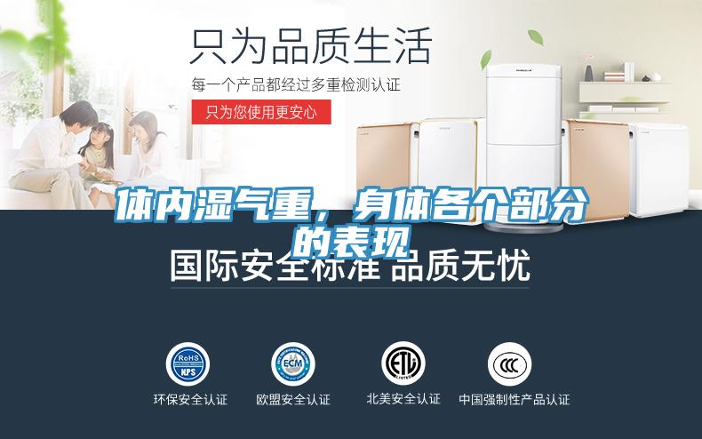 體內濕氣重，身體各個部分的表現