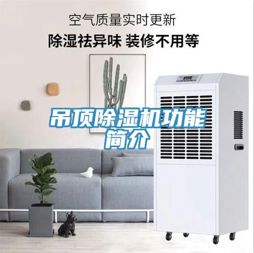 吊頂91看片软件大全功能簡介