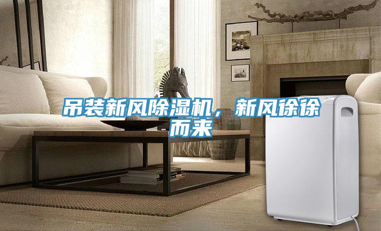 吊裝新風91看片软件大全，新風徐徐而來