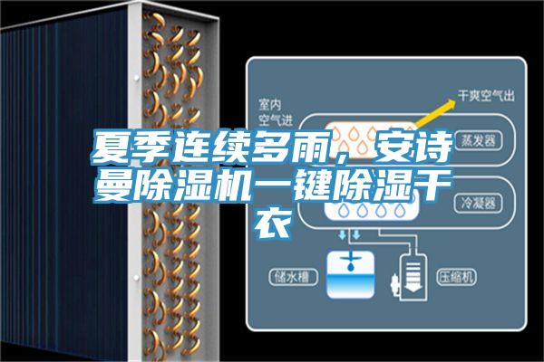 夏季連續多雨，91AV手机看片91看片软件大全一鍵除濕幹衣