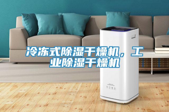 冷凍式除濕幹燥機，工業除濕幹燥機