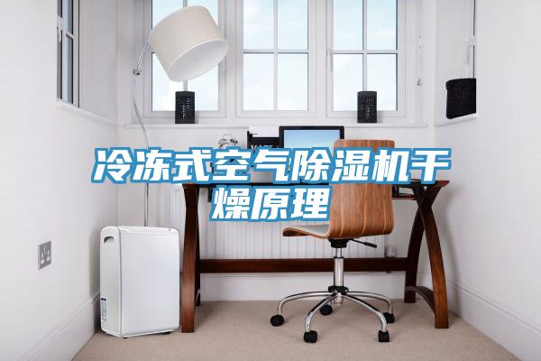 冷凍式空氣91看片软件大全幹燥原理