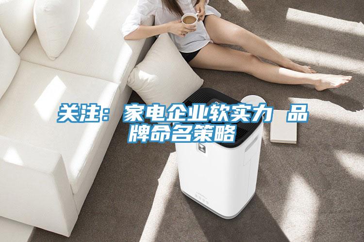 關注：家電企業軟實力 品牌命名策略