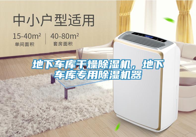 地下車庫幹燥91看片软件大全，地下車庫專用91看片软件大全器