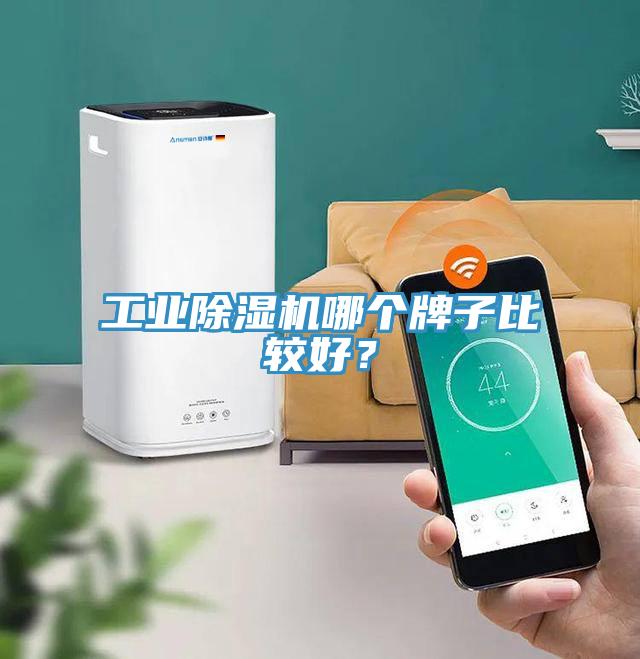 工業91看片软件大全哪個牌子比較好？
