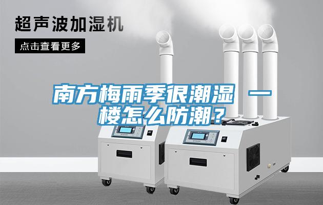 南方梅雨季很潮濕 一樓怎麽防潮？