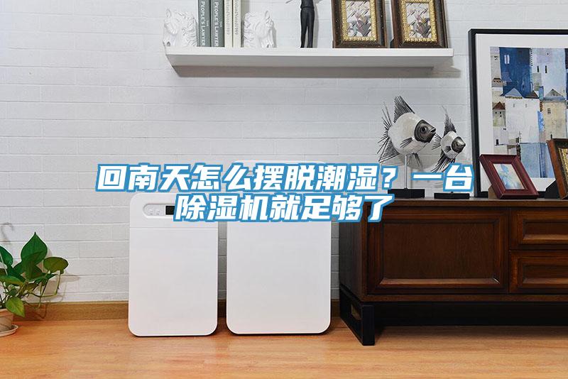 回南天怎麽擺脫潮濕？一台91看片软件大全就足夠了