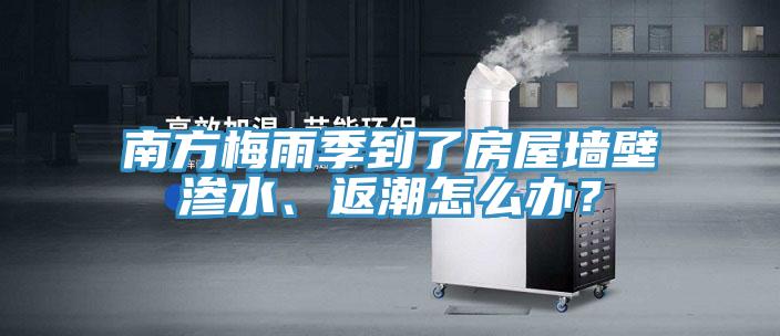 南方梅雨季到了房屋牆壁滲水、返潮怎麽辦？