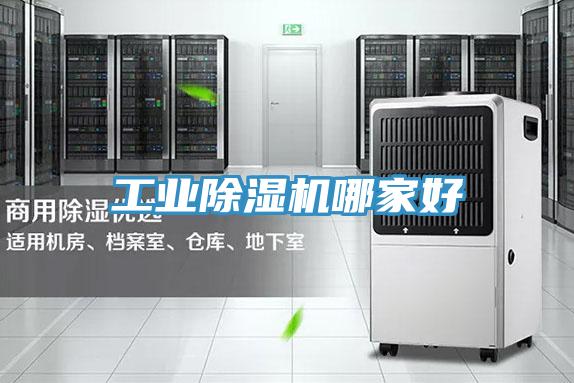 工業91看片软件大全哪家好