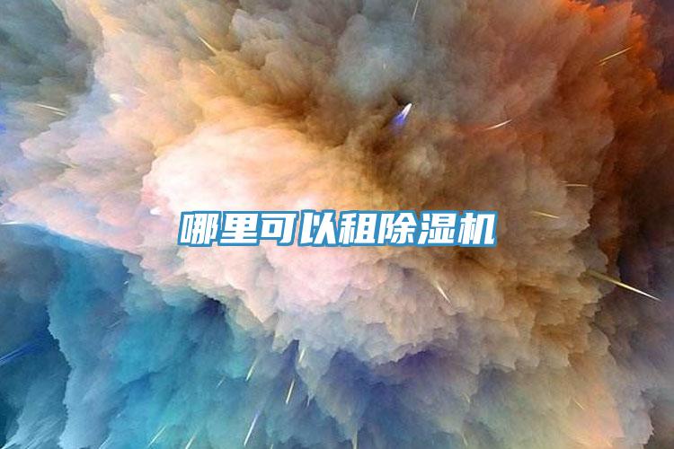 哪裏可以租91看片软件大全