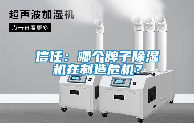 信任：哪個牌子91看片软件大全在製造危機？
