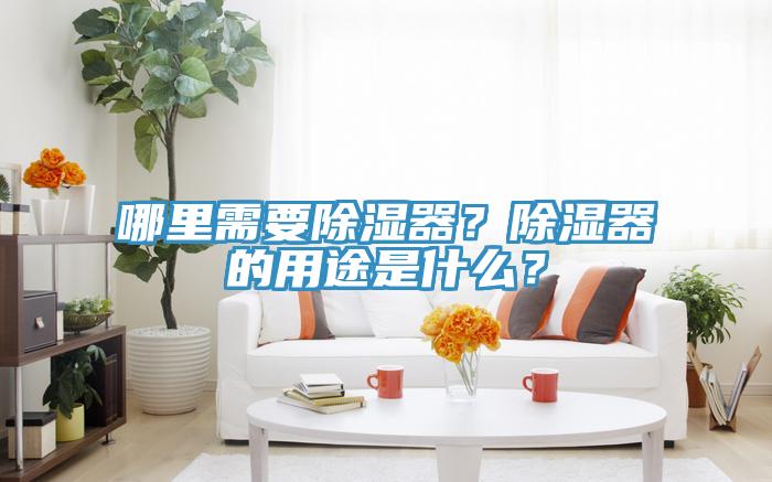 哪裏需要除濕器？除濕器的用途是什麽？