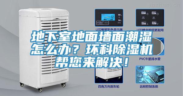 地下室地麵牆麵潮濕怎麽辦？環科91看片软件大全幫您來解決！