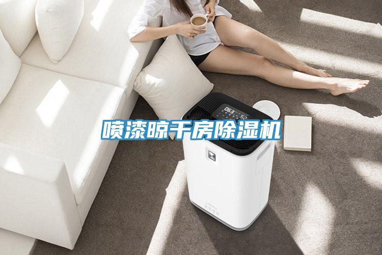 噴漆晾幹房91看片软件大全