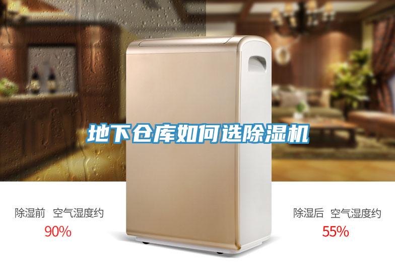 地下倉庫如何選91看片软件大全