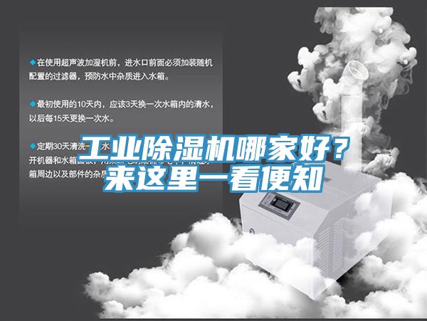 工業91看片软件大全哪家好？來這裏一看便知