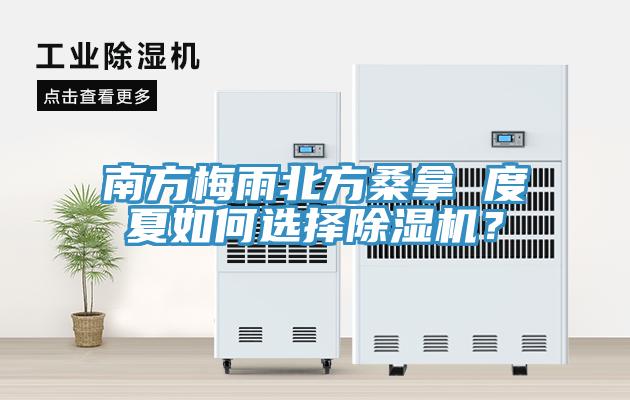 南方梅雨北方桑拿 度夏如何選擇91看片软件大全？