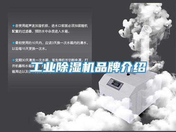 工業91看片软件大全品牌介紹