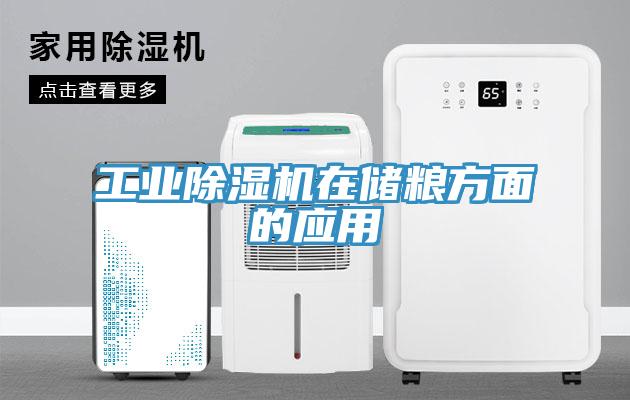 工業91看片软件大全在儲糧方麵的應用