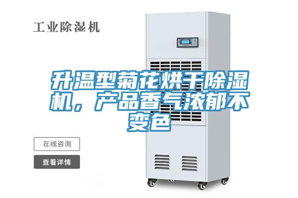 升溫型菊花烘幹91看片软件大全，產品香氣濃鬱不變色