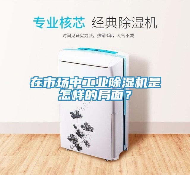 在市場中工業91看片软件大全是怎樣的局麵？