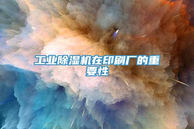 工業91看片软件大全在印刷廠的重要性