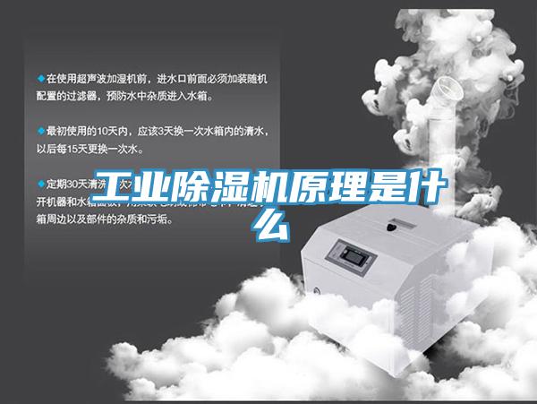 工業91看片软件大全原理是什麽