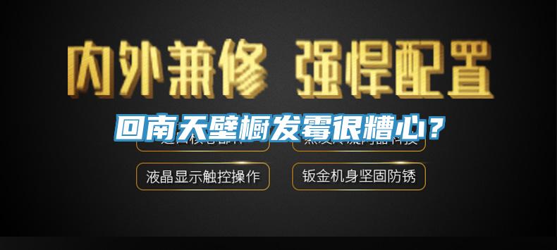 回南天壁櫥發黴很糟心？