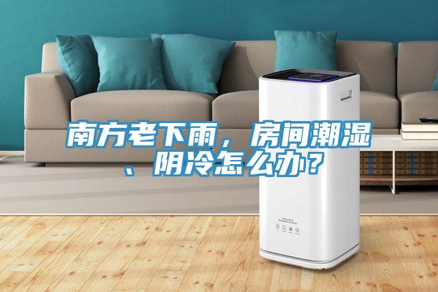 南方老下雨，房間潮濕、陰冷怎麽辦？