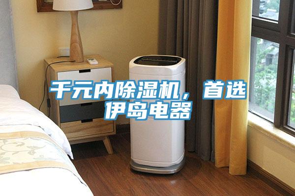 千元內91看片软件大全，首選伊島電器