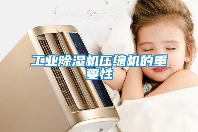 工業91看片软件大全壓縮機的重要性