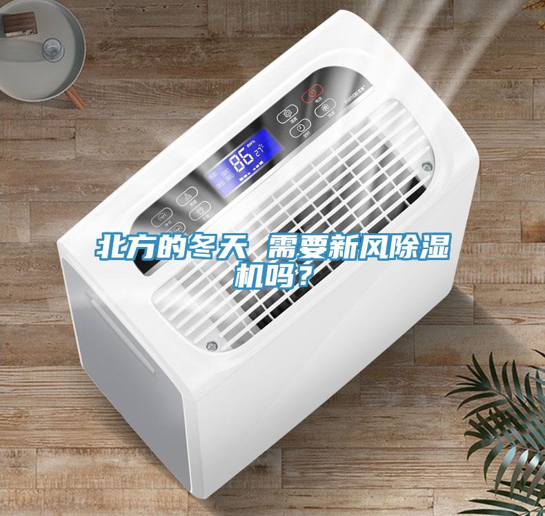 北方的冬天 需要新風91看片软件大全嗎？