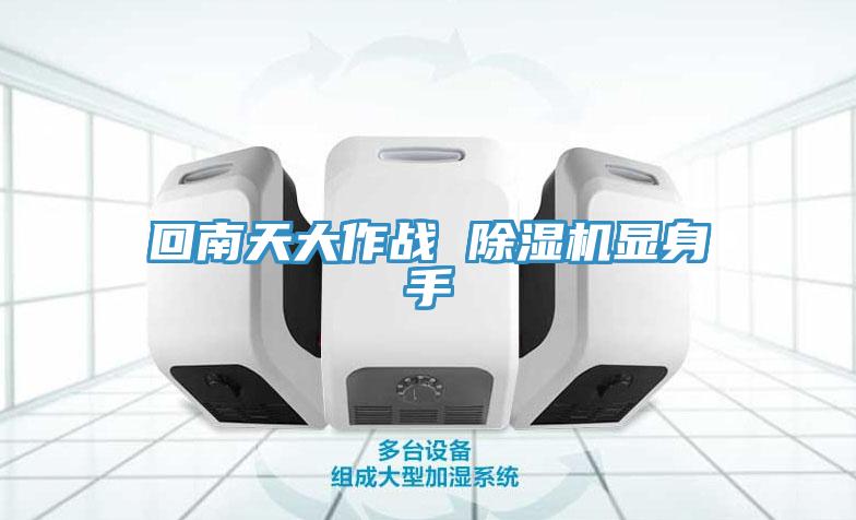 回南天大作戰 91看片软件大全顯身手