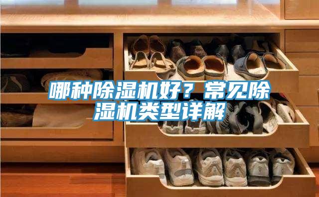 哪種91看片软件大全好？常見91看片软件大全類型詳解