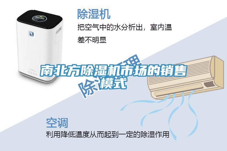 南北方91看片软件大全市場的銷售模式