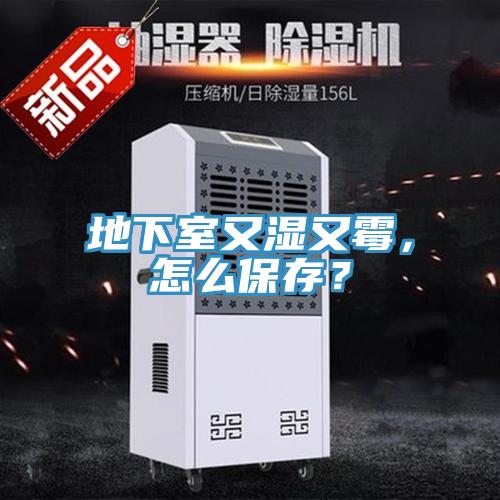 地下室又濕又黴，怎麽保存？
