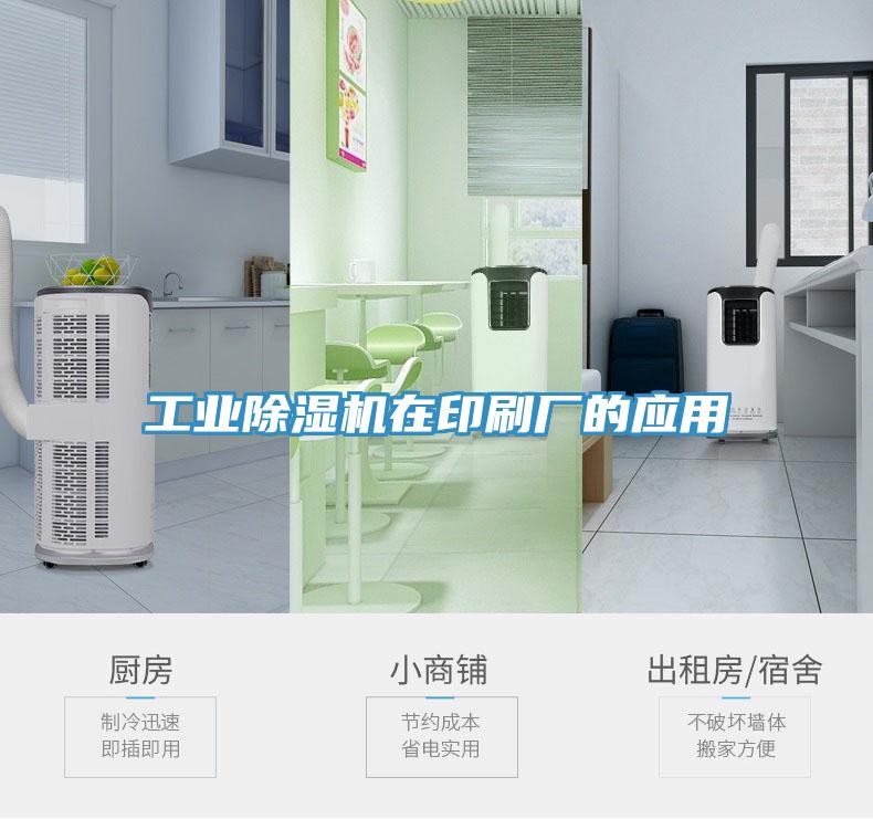 工業91看片软件大全在印刷廠的應用