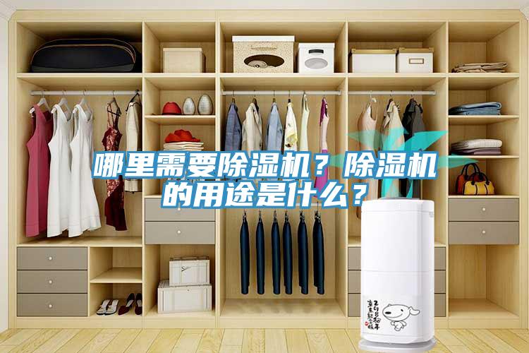 哪裏需要91看片软件大全？91看片软件大全的用途是什麽？