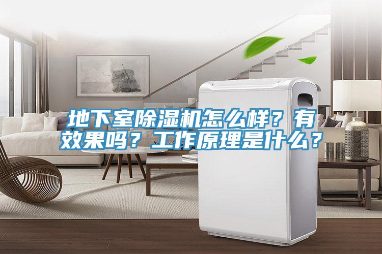 地下室91看片软件大全怎麽樣？有效果嗎？工作原理是什麽？