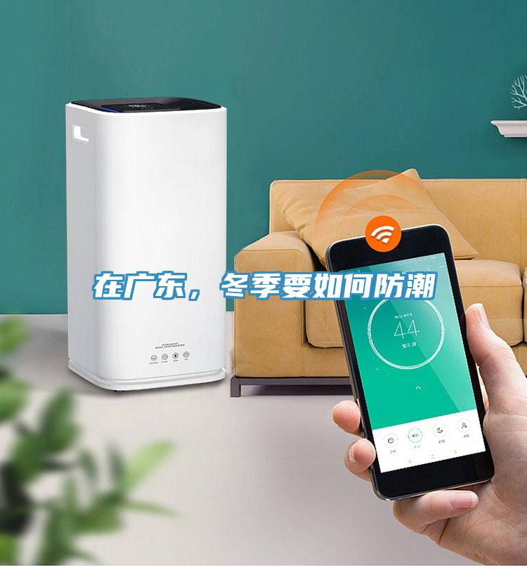 在廣東，冬季要如何防潮