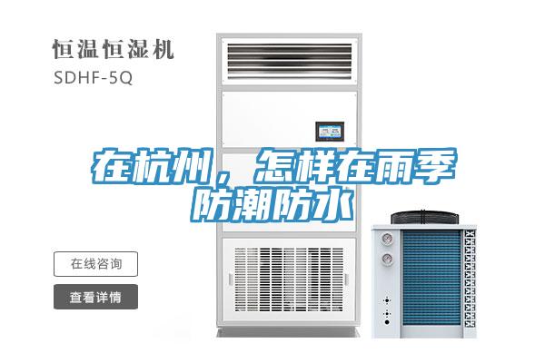 在杭州，怎樣在雨季防潮防水